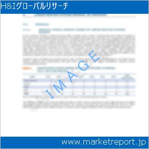 市場と産業調査レポートのイメージ